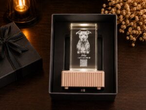 Cristal K9 Infinity Memory - Compagnon de vie